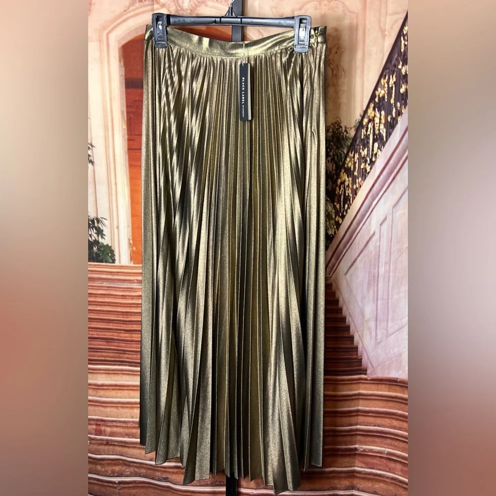 NWT Chico’s Metallic Pleated Skirt, Size 00, XS, beautiful, side zip - Picture 3 of 8